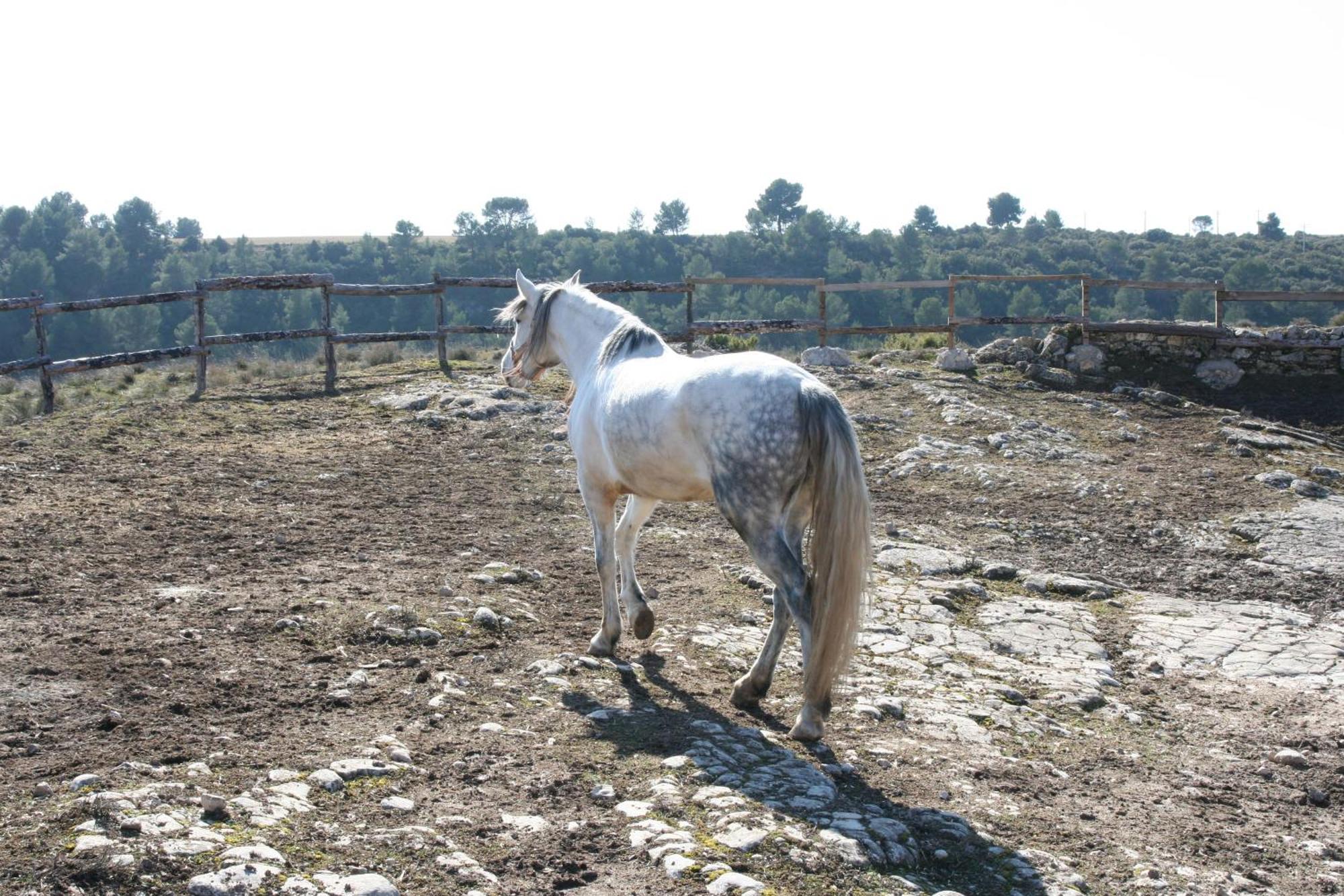 La Posada Del Hidalgo De Alarcón Екстериор снимка